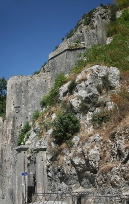 IMG_0904.JPG