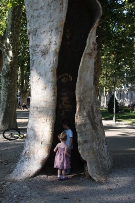 IMG_0787.JPG