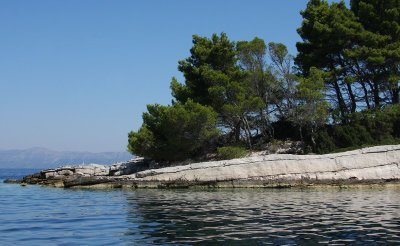IMG_8158.JPG