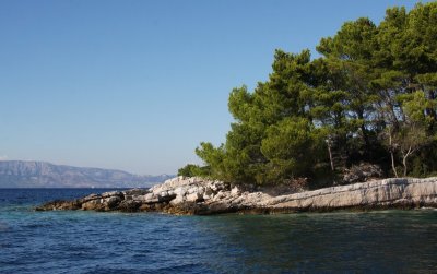 IMG_8348.JPG