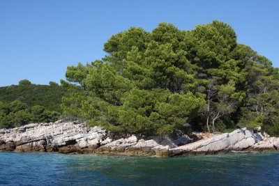 IMG_8355.JPG
