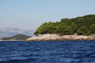 IMG_8368.JPG