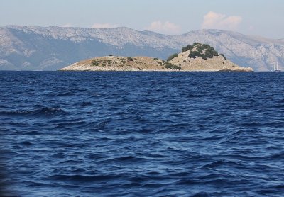 IMG_8373.JPG