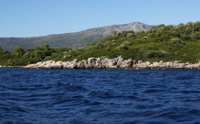 IMG_8438.JPG