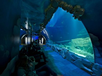 Aquarium Trocadro 2012