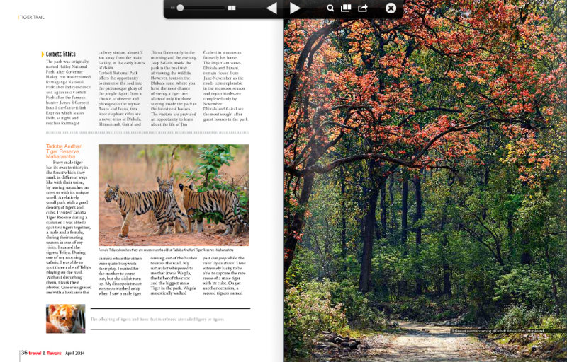 Page 10-11