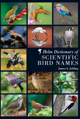 Sarus crane image coverpage@Helm dictionary of scientific birdnames