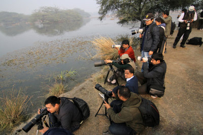 @Sultanpur Bird Sanctuary 