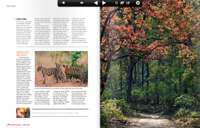 Page 10-11