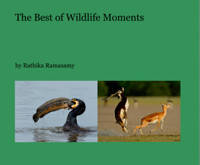 The best of wildlife moments new photo book