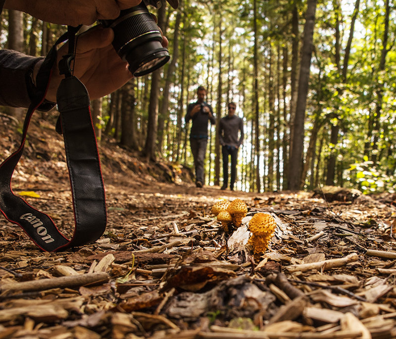 Nate, Max & Mushrooms