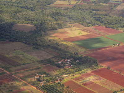Cuban Fields