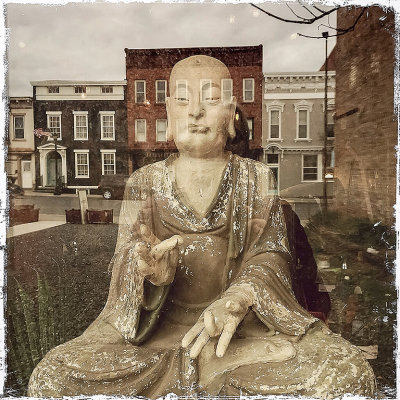 Buddha on the Street