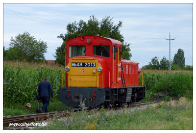 g9/87/589487/3/163924455.eOGDLCll.jpg