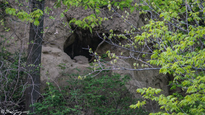 Cave at Cliff top.jpg