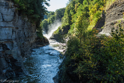 Lower Falls-4657.jpg