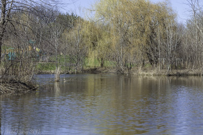 Looking across the pond-7290.JPG