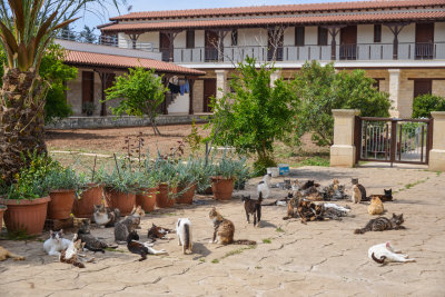 Monastery of St Nikolas of the Cats