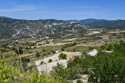 Cyprus landscape