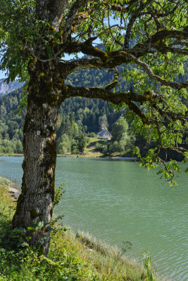 Lac de Vallon