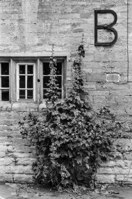 B is for Bush (or Burford...)