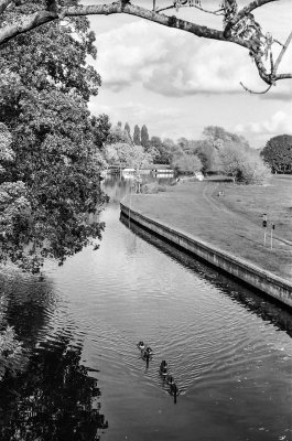 The Thames at Abingdon