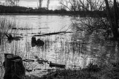 The Thames at Abingdon...