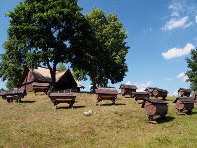 Log beehives in front of Apiculture Museum in Aukstaitija Natl Park, Lithuania