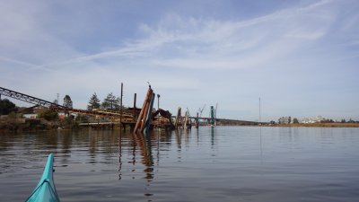 There is a cormorant on that high piling _034.jpg