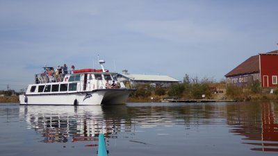 River Dolphin touring the Petaluma River _047.jpg