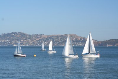 g9/87/751887/3/164159292.xilOo7FF.jpg