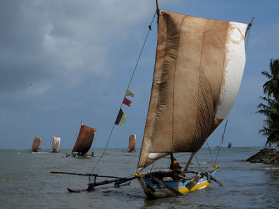 Negombo'da Katamaranlar