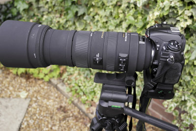 Nikon D300 with Sigma 150-500mm F5-6.3 DG OS HSM: 