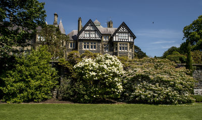 Falconry at Bodnant Garden North Wales