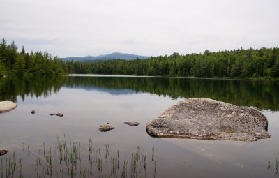 Pogy Pond