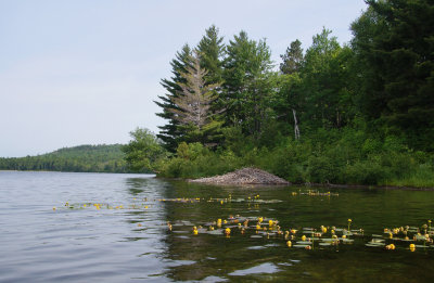 g9/87/808087/3/160752752.yLbcvoBV.jpg