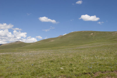 Between Artvin and Erzurum