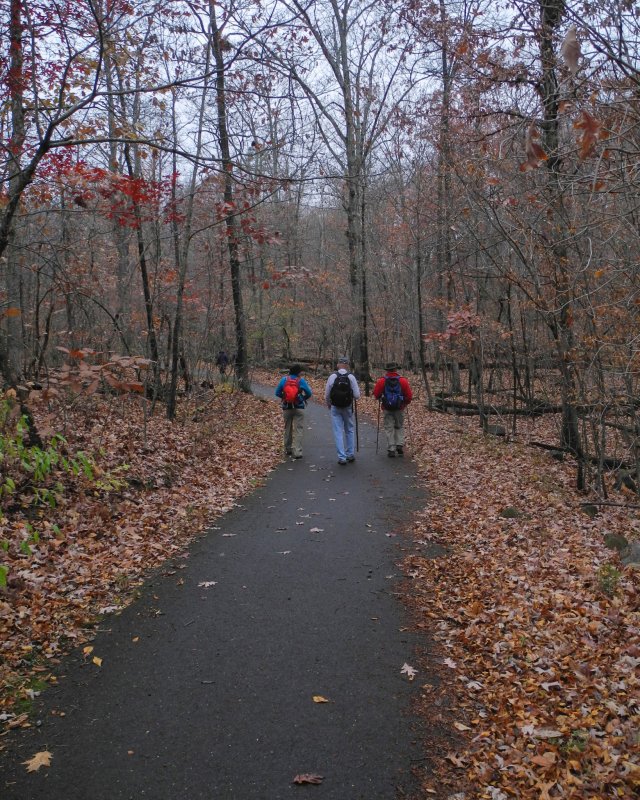 2013-11-16 12:44