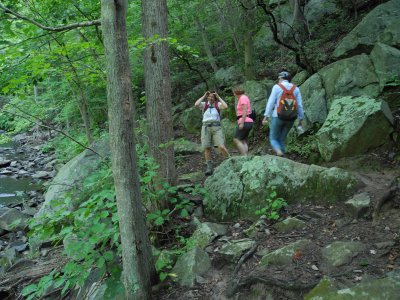 Rock Creek Park - Hike