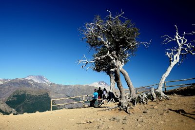 Altos de Lircay National Park