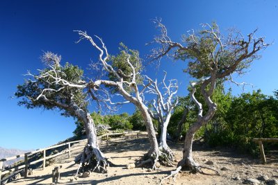 Altos de Lircay National Park