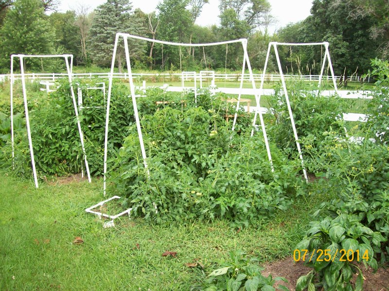 Garden 07-23-2014 03.JPG