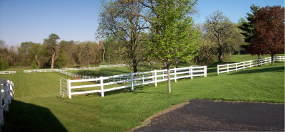 Sring Morning In Illinois Composite 01.jpg