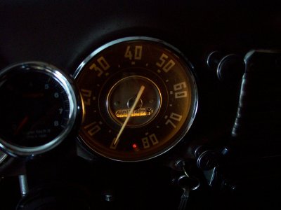 Speedo Brights On 01.JPG