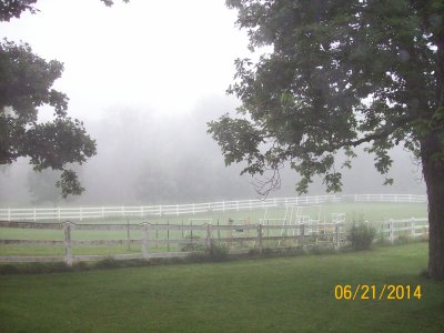 June 21, 2014 In the mist 10.JPG