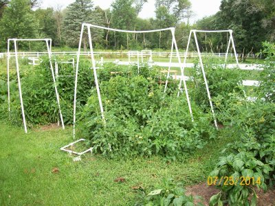 Garden 07-23-2014 03.JPG