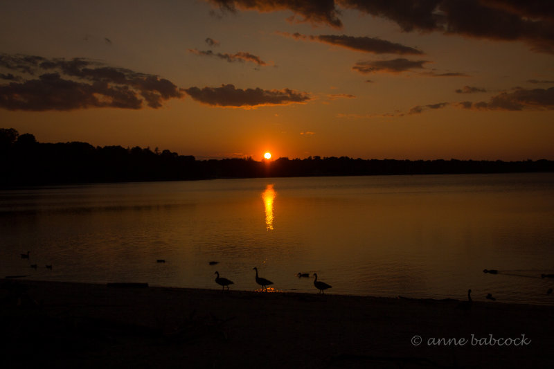 lake ronkonkoma