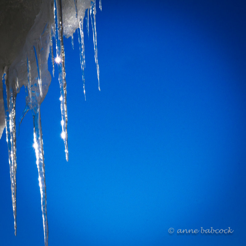 icicles