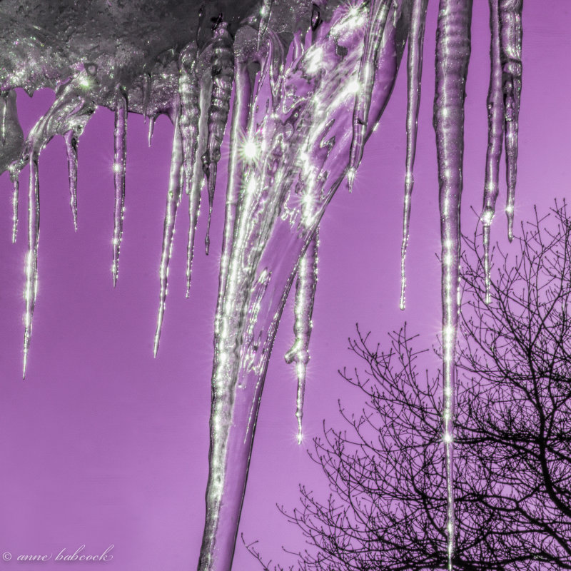 purple ice.jpg