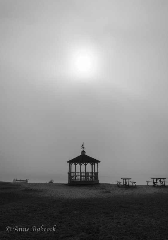 sunrise newport beach in fog 42215.jpg